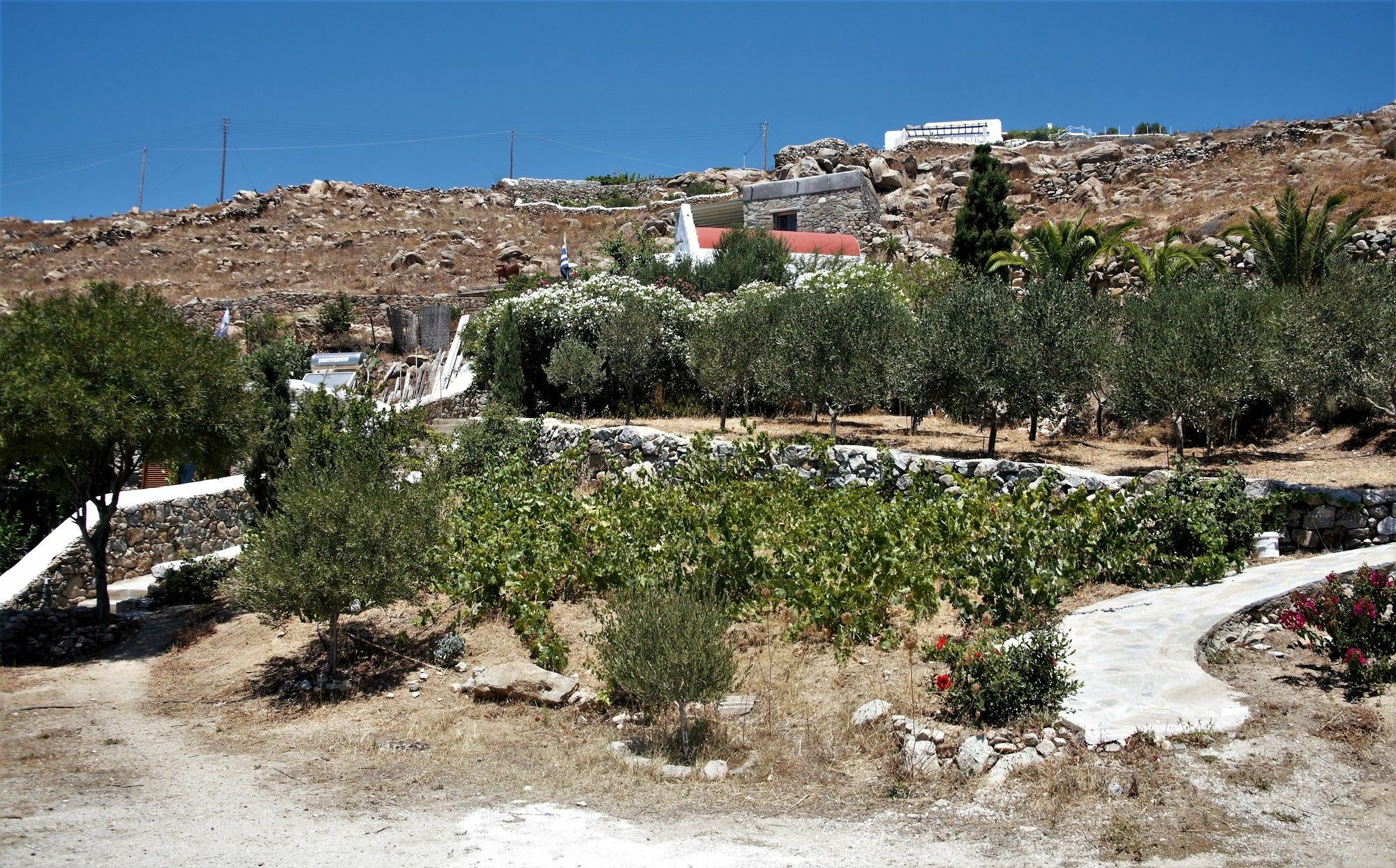 Mykonos Moussa Villa Agios Ioannis Diakoftis Dış mekan fotoğraf